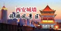 男女尻屄网站中国陕西-西安城墙旅游风景区